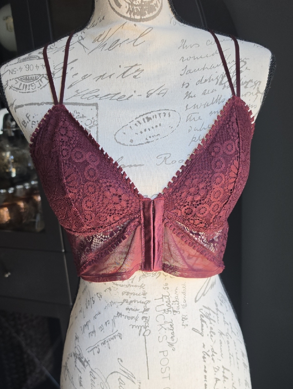 aerie Lace Longline Front-hook Bralette in Deep Wine
